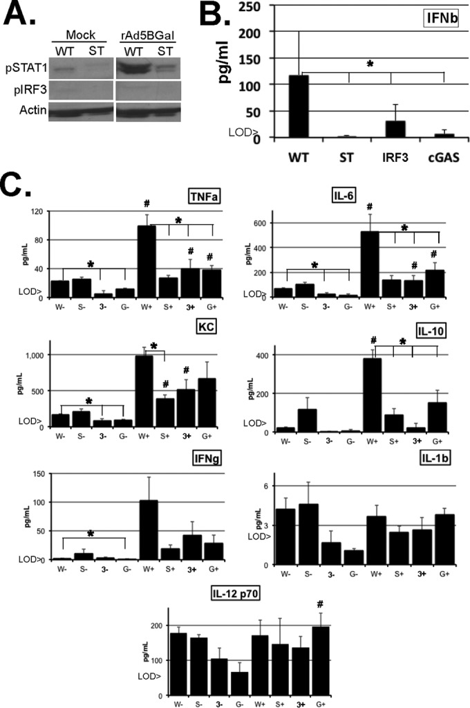 FIG 4