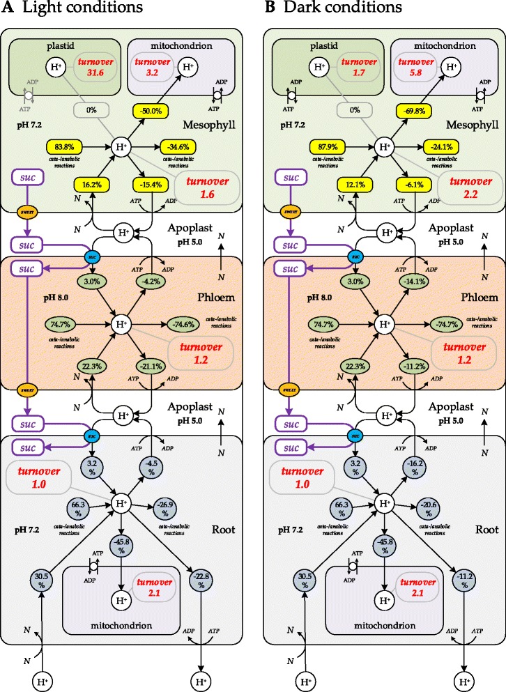 Fig. 7