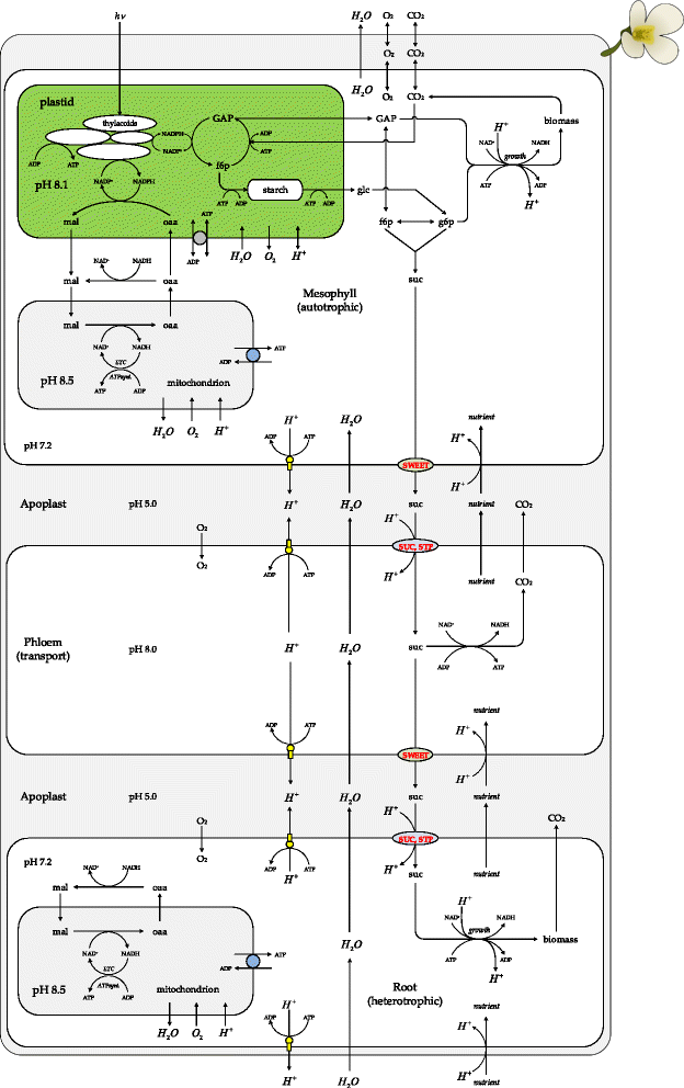 Fig. 4
