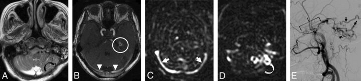 Fig 1.