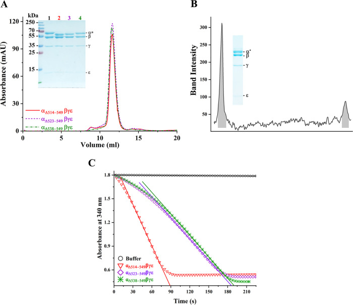 FIG 2