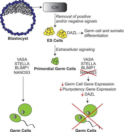 Figure 6.