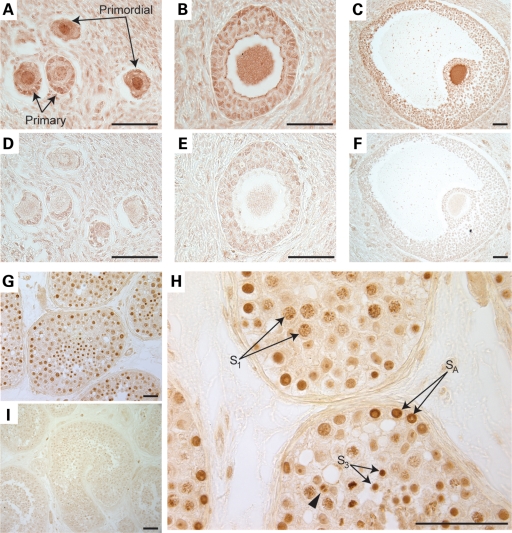 Figure 2.