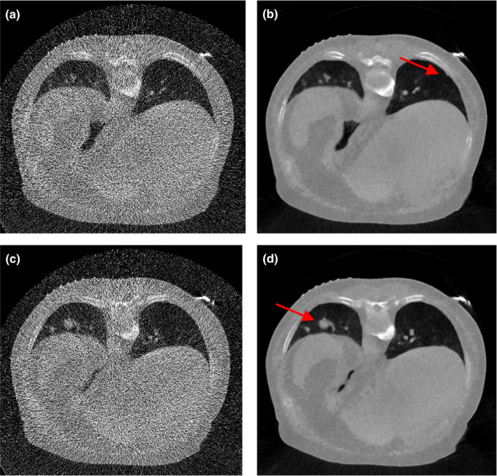 Figure 19