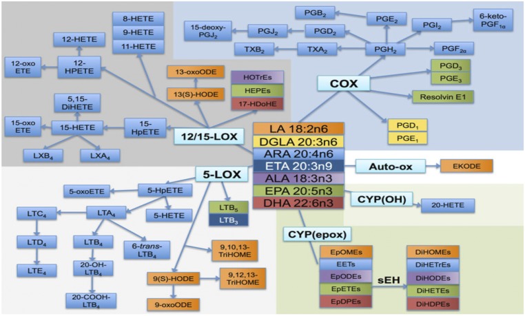 Fig. S3.