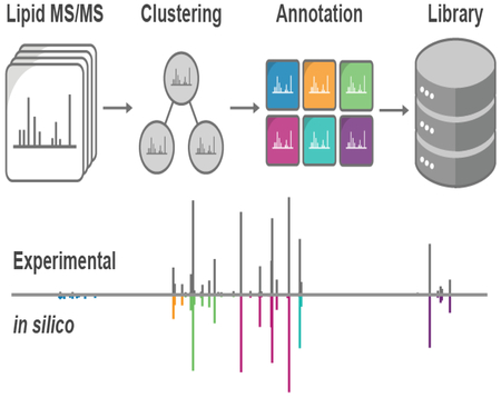 graphic file with name nihms-1521462-f0001.jpg