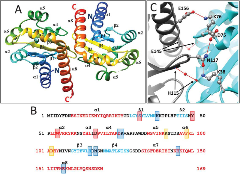 FIGURE 1