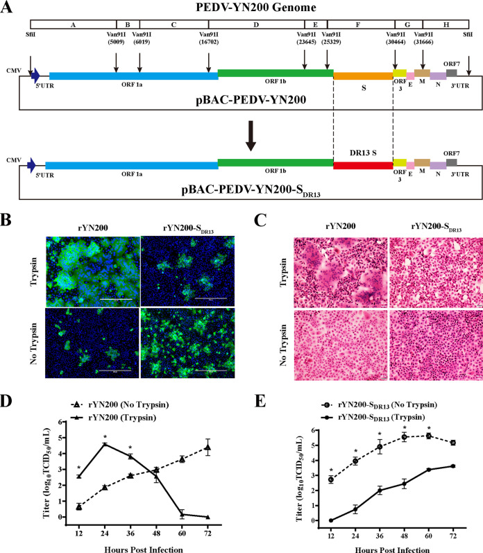 FIG 3