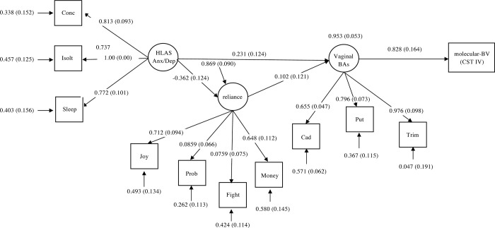 Fig 5