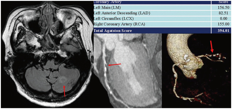 Fig. 6