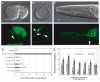 Fig. 3.