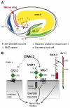 Fig. 8.