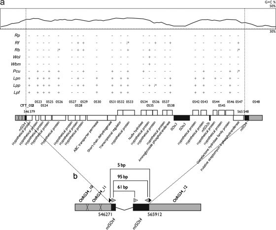 Figure 4