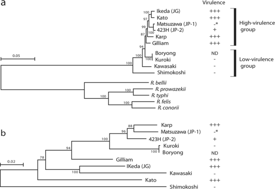 Figure 5