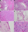Figure 12.
