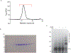 Extended Data Fig. 1.