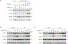 Extended Data Fig. 7.