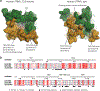 Extended Data Fig. 4.