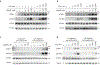 Extended Data Fig. 6.