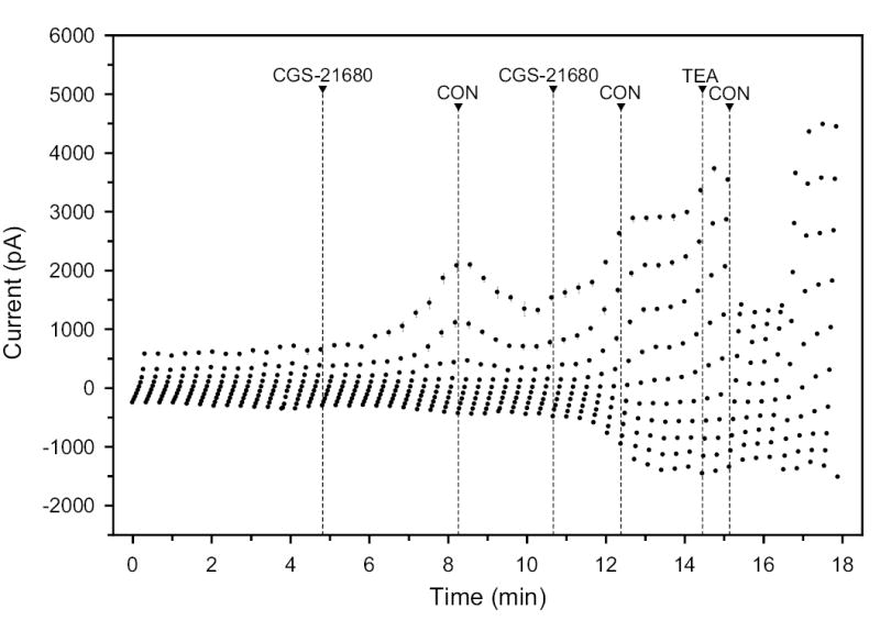 Fig. 6