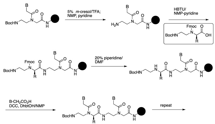 Scheme 1