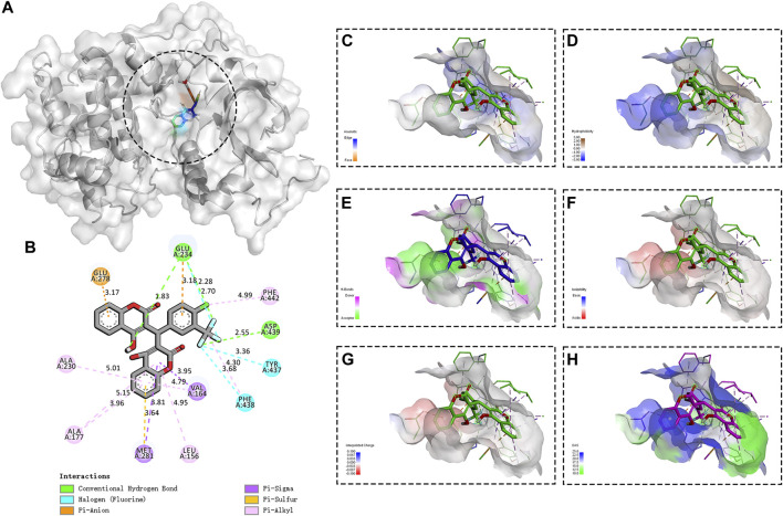 FIGURE 6