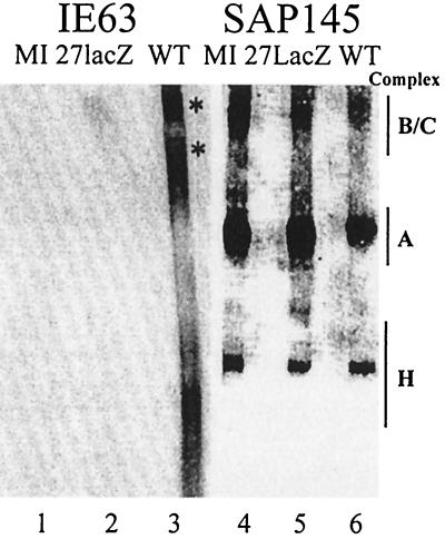 FIG. 7