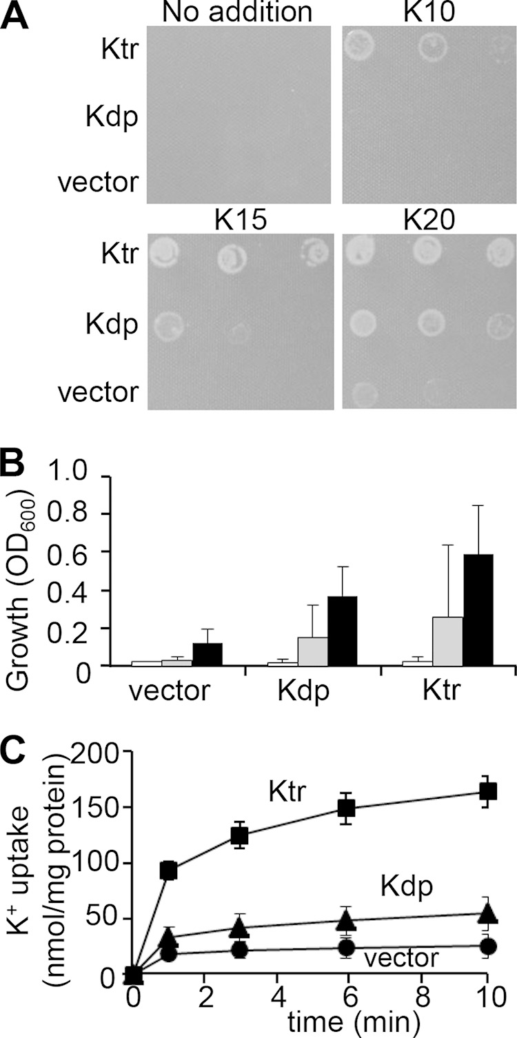 FIG 1