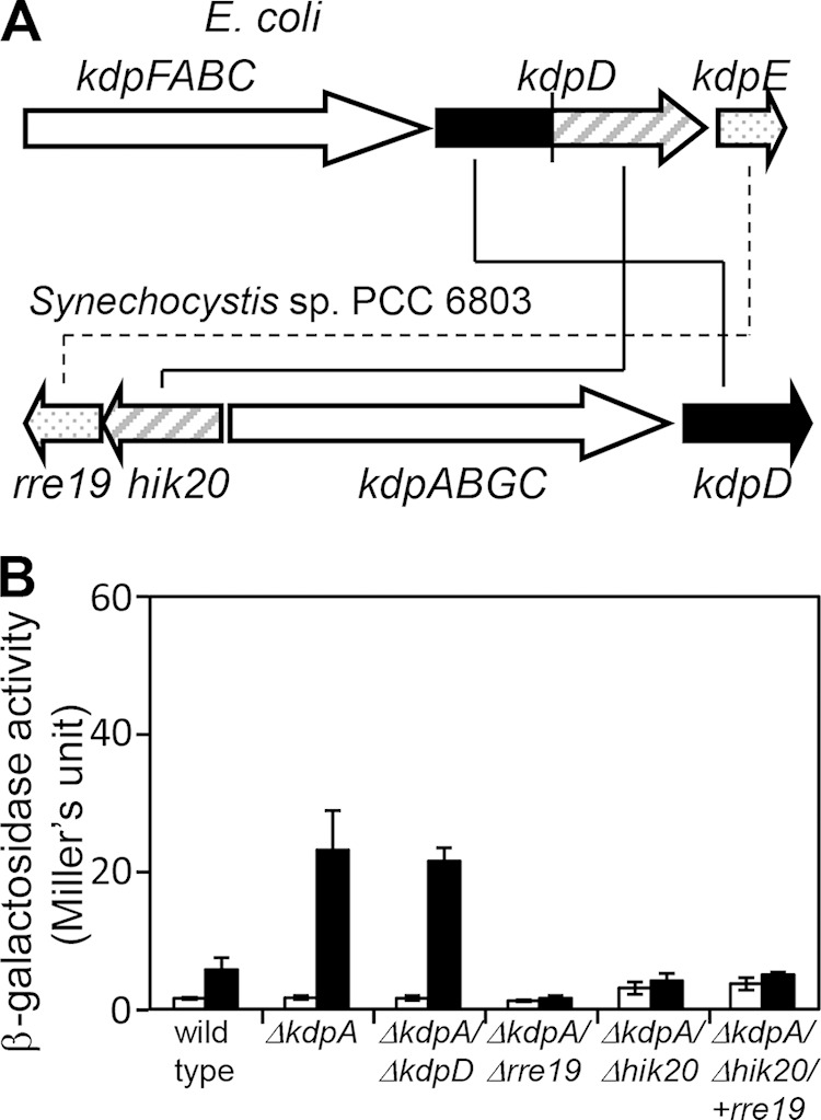 FIG 6