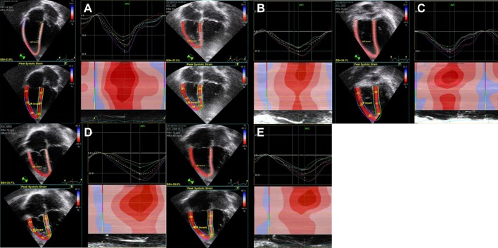 Fig. 3.