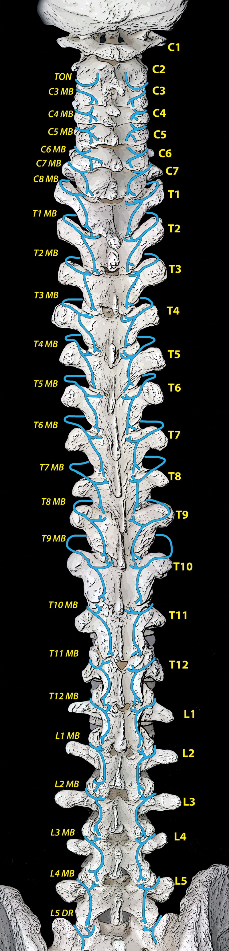 Figure 2.