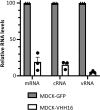 Fig 7