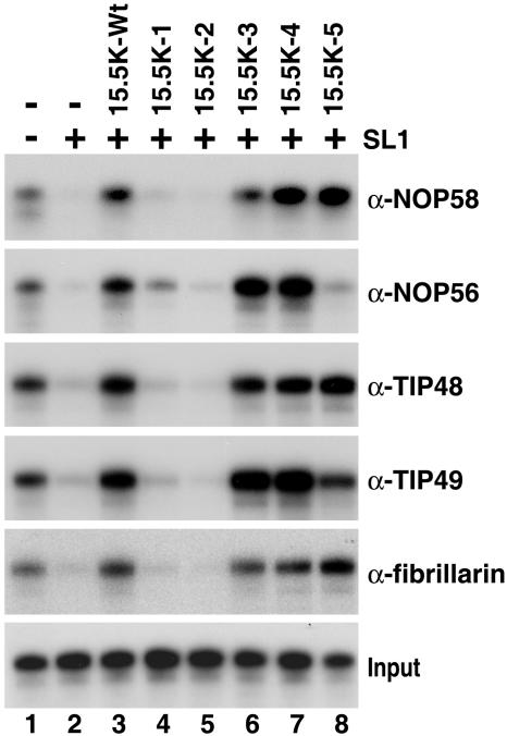 FIG. 5.