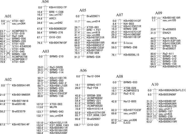 Fig. 7.