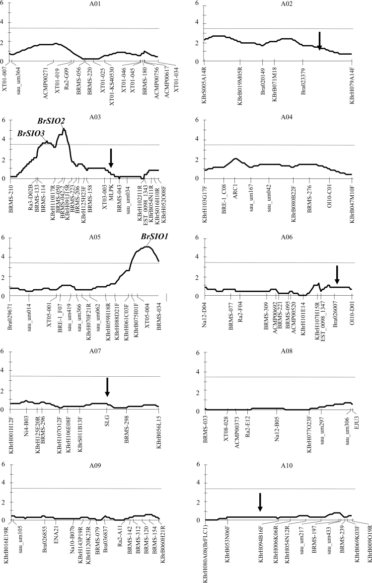 Fig. 8.