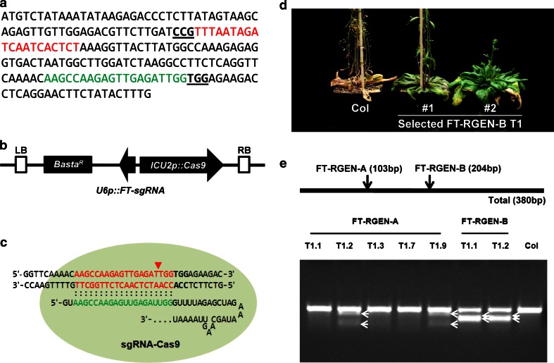 Fig. 3