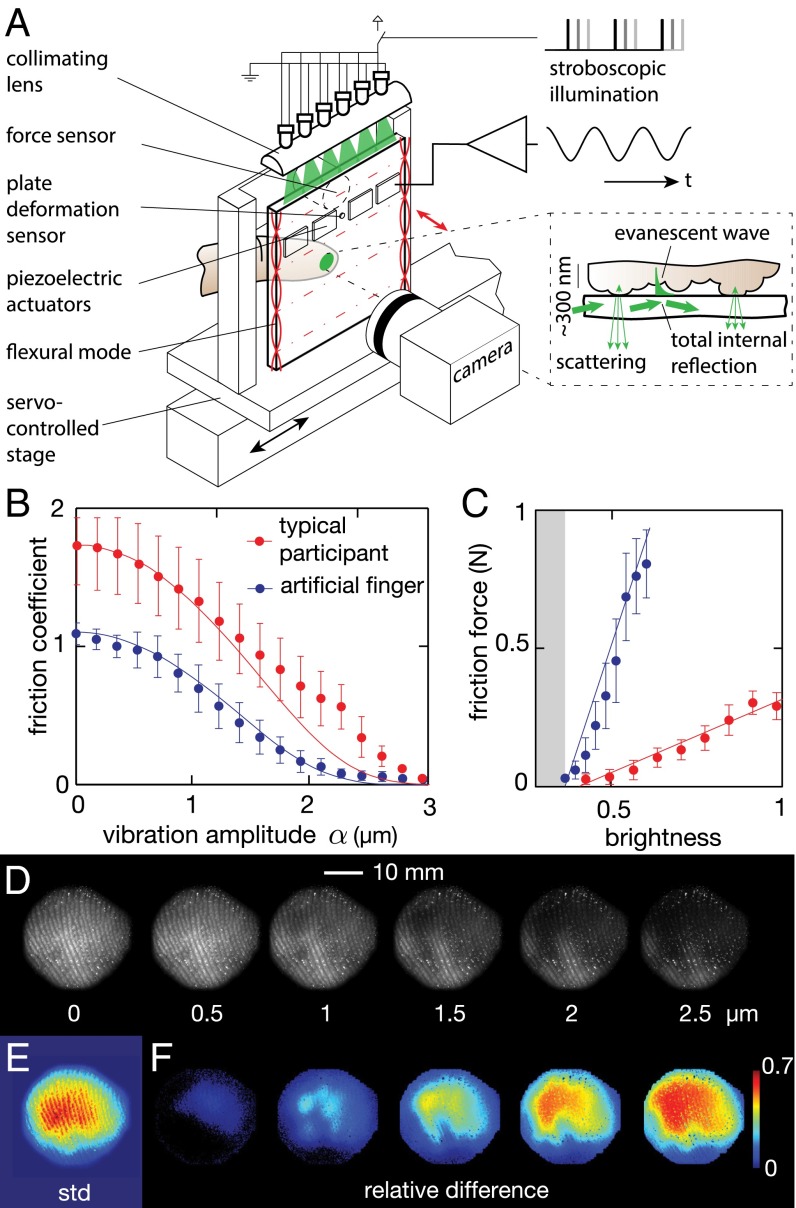 Fig. 2.