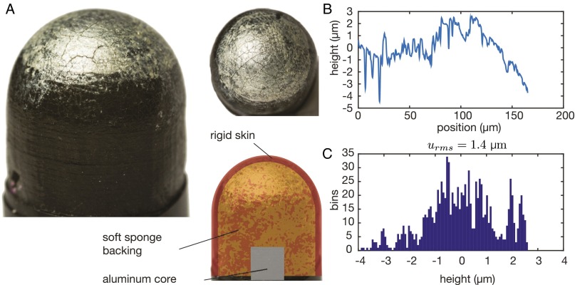 Fig. S6.