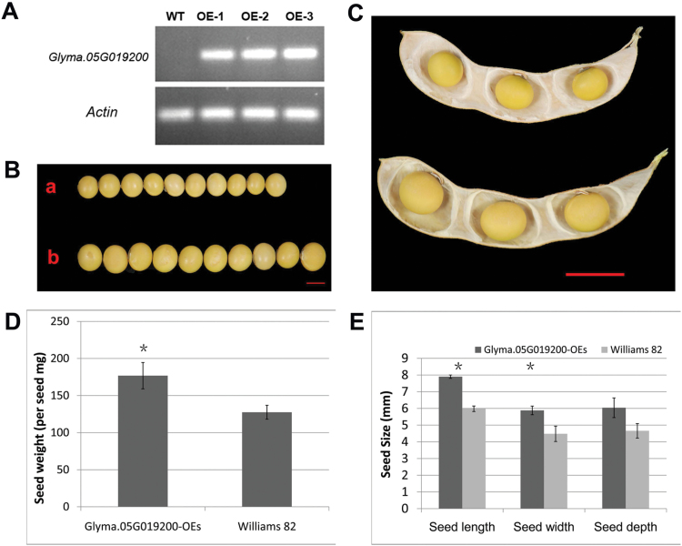 Fig. 7.