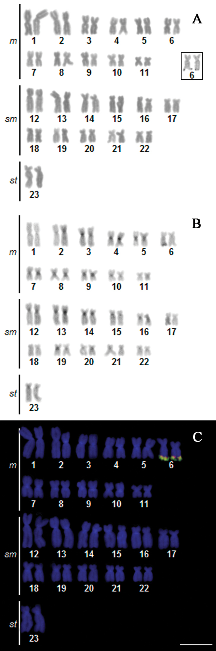 Figure 2.