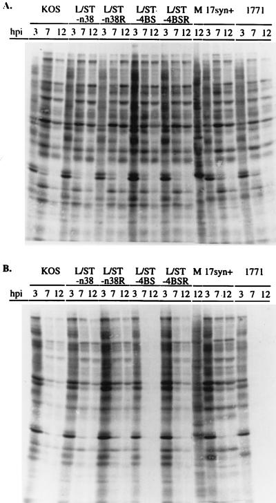 FIG. 8