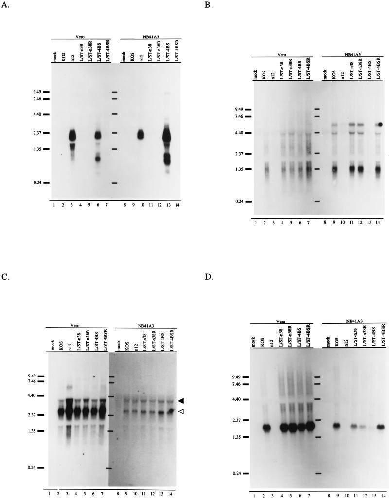 FIG. 6