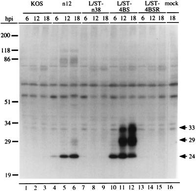 FIG. 7