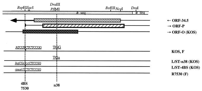 FIG. 10