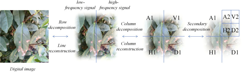 Figure 4