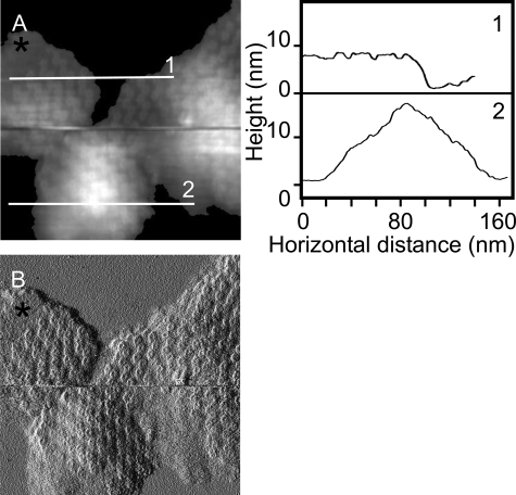 FIGURE 2.