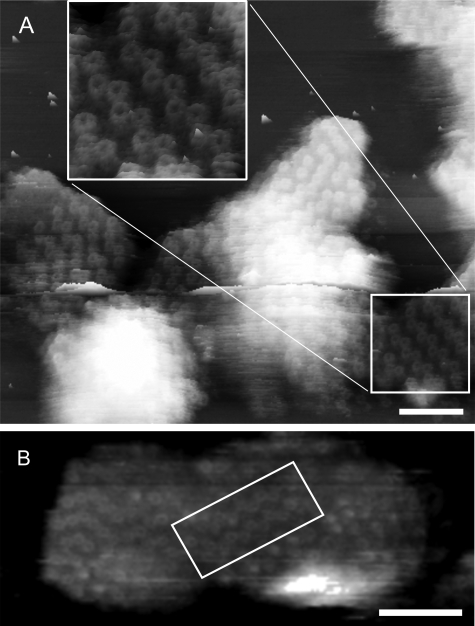 FIGURE 4.