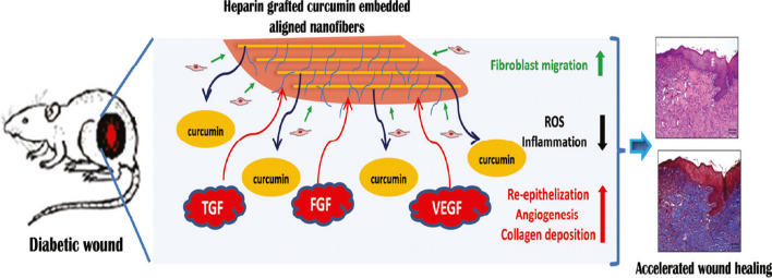 Fig. 13