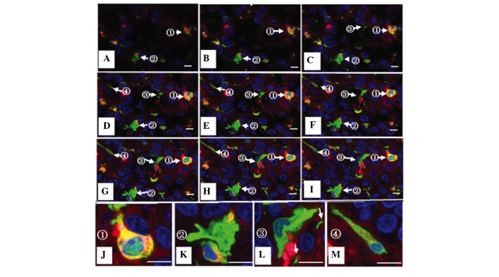 Figure 6.