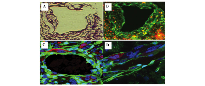 Figure 4.